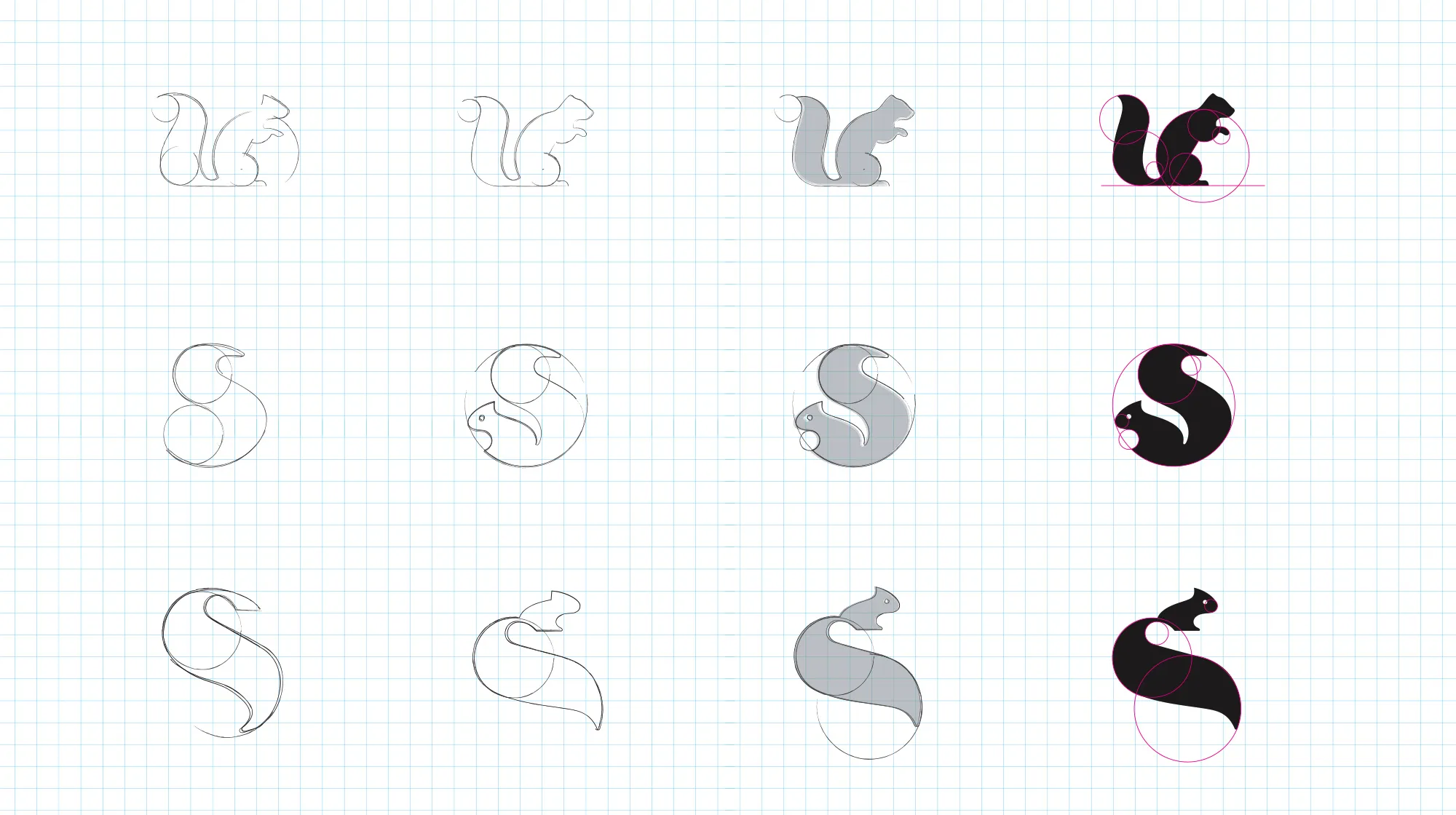 Squirrel System